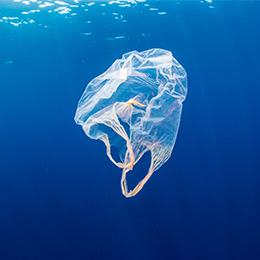 Plastic bag floating in the ocean.