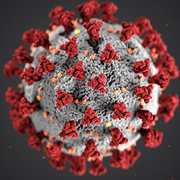 Close up of the Coronavirus structure. 