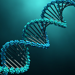 DNA Molecule 