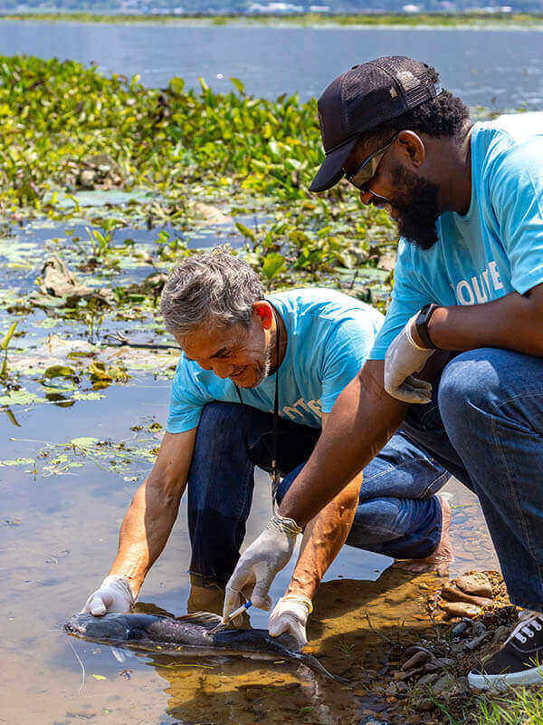 2 scientists lift a fish from a river for testing.