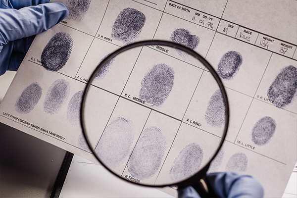 Finger print set under a magnifying glass.